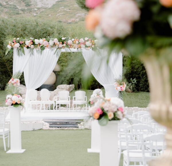 Le domaine des Calanques